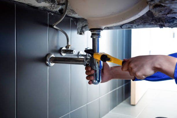 Best Garbage Disposal Repair and Installation  in Cabot, AR